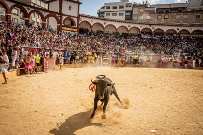 La fiesta fue inimaginable en la plaza de toros y sus calles aledañas