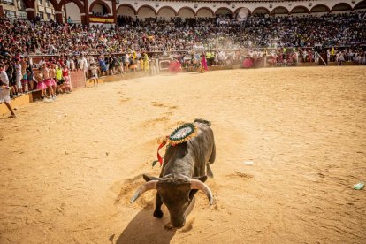 La fiesta fue inimaginable en la plaza de toros y sus calles aledañas
