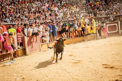 La fiesta fue inimaginable en la plaza de toros y sus calles aledañas