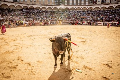 La fiesta fue inimaginable en la plaza de toros y sus calles aledañas