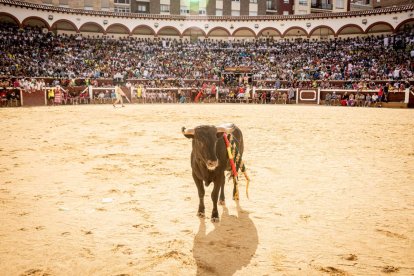 La fiesta fue inimaginable en la plaza de toros y sus calles aledañas