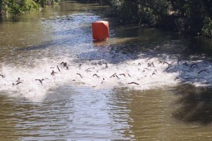 Imágenes de la prueba masculina celebrada en La Arboleda de Almazán