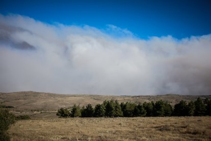 Tensión en el límite provincial de Soria y Guadalajara por el incendio.