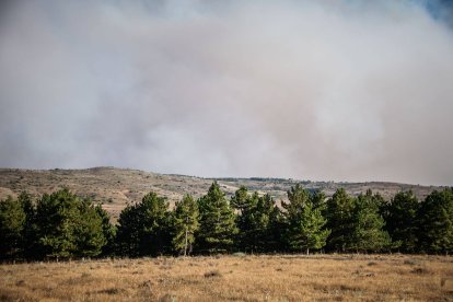 Tensión en el límite provincial de Soria y Guadalajara por el incendio.