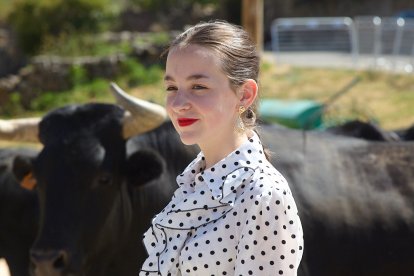 Las reses fueron trasladas a pie y a caballo
