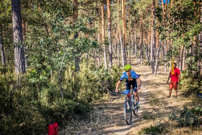 Los ciclistas recorrieron los pinares de Duruelo