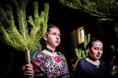 Una celebración festiva que conmemora cuando el pino se convirtió en arma
