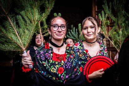 Una celebración festiva que conmemora cuando el pino se convirtió en arma