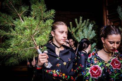 Una celebración festiva que conmemora cuando el pino se convirtió en arma