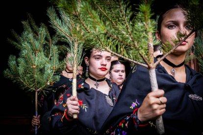 Una celebración festiva que conmemora cuando el pino se convirtió en arma