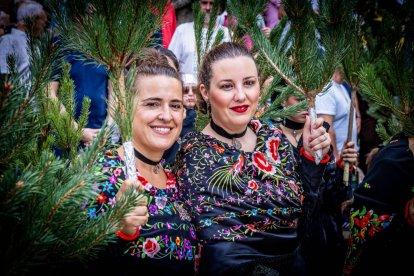 Una celebración festiva que conmemora cuando el pino se convirtió en arma