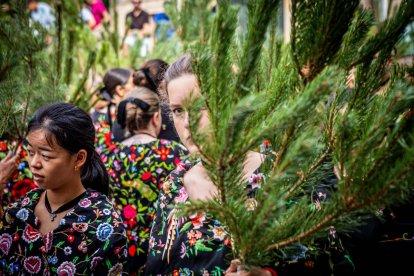 Una celebración festiva que conmemora cuando el pino se convirtió en arma