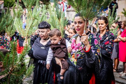 Una celebración festiva que conmemora cuando el pino se convirtió en arma