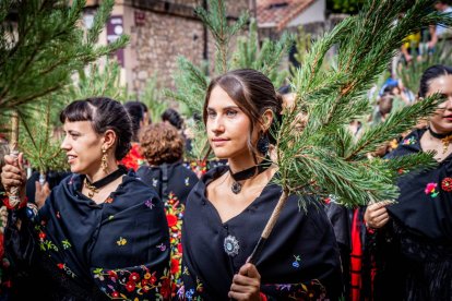 Una celebración festiva que conmemora cuando el pino se convirtió en arma