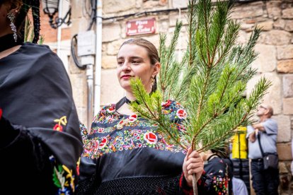 Una celebración festiva que conmemora cuando el pino se convirtió en arma