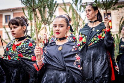 Una celebración festiva que conmemora cuando el pino se convirtió en arma