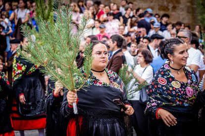 Una celebración festiva que conmemora cuando el pino se convirtió en arma