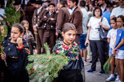 Una celebración festiva que conmemora cuando el pino se convirtió en arma