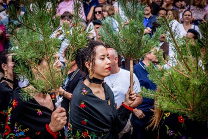 Una celebración festiva que conmemora cuando el pino se convirtió en arma
