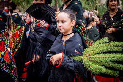 Una celebración festiva que conmemora cuando el pino se convirtió en arma