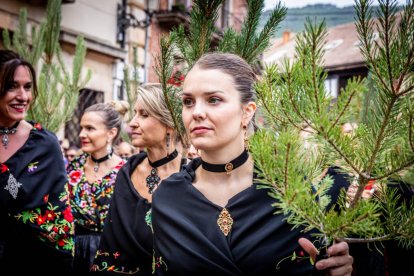Una celebración festiva que conmemora cuando el pino se convirtió en arma