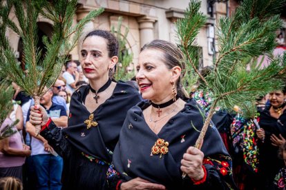 Una celebración festiva que conmemora cuando el pino se convirtió en arma