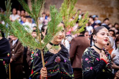 Una celebración festiva que conmemora cuando el pino se convirtió en arma