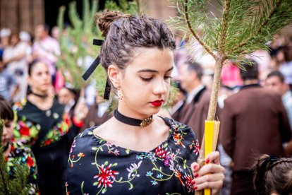 Una celebración festiva que conmemora cuando el pino se convirtió en arma