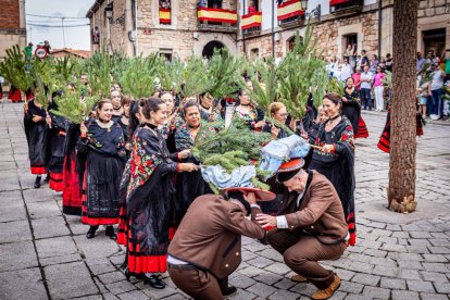 Una celebración festiva que conmemora cuando el pino se convirtió en arma