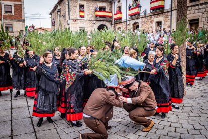 Una celebración festiva que conmemora cuando el pino se convirtió en arma