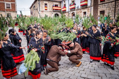 Una celebración festiva que conmemora cuando el pino se convirtió en arma