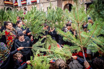 Una celebración festiva que conmemora cuando el pino se convirtió en arma