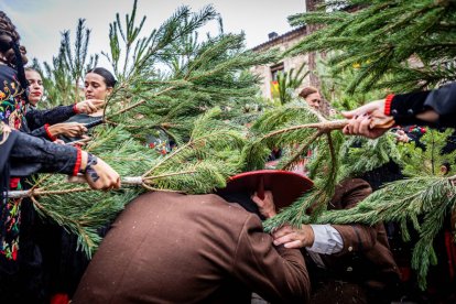 Una celebración festiva que conmemora cuando el pino se convirtió en arma