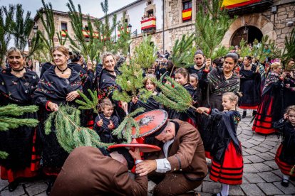 Una celebración festiva que conmemora cuando el pino se convirtió en arma