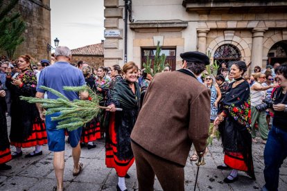 Una celebración festiva que conmemora cuando el pino se convirtió en arma