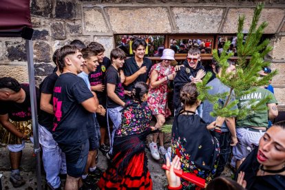 Una celebración festiva que conmemora cuando el pino se convirtió en arma