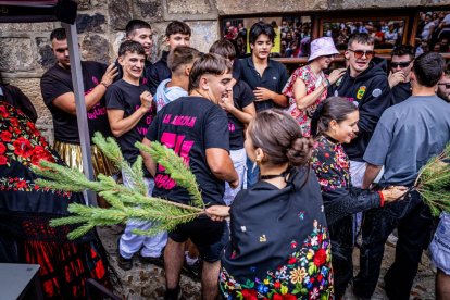 Una celebración festiva que conmemora cuando el pino se convirtió en arma