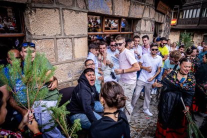 Una celebración festiva que conmemora cuando el pino se convirtió en arma