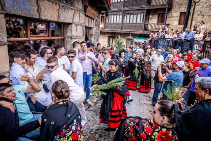 Una celebración festiva que conmemora cuando el pino se convirtió en arma