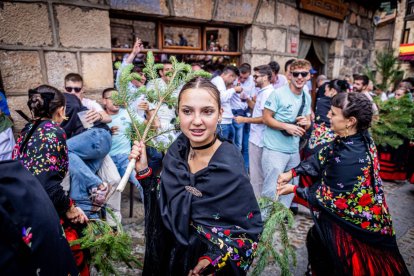 Una celebración festiva que conmemora cuando el pino se convirtió en arma
