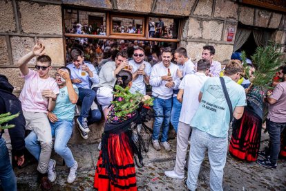 Una celebración festiva que conmemora cuando el pino se convirtió en arma