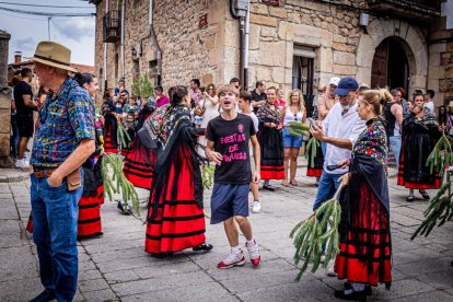 Una celebración festiva que conmemora cuando el pino se convirtió en arma