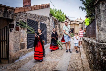Una celebración festiva que conmemora cuando el pino se convirtió en arma