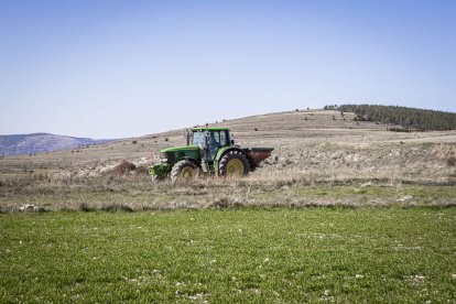 Un paseo descubriendo los encantos de la Soria rural que se resiste a desaparecer