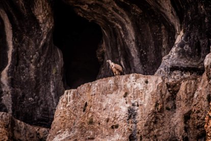 La procesión se celebra en el Cañón el Río Lobos