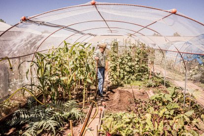 Vergeles en plena ciudad que llenan de alimentos sanos los platos de los quienes los cultivan