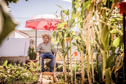 Vergeles en plena ciudad que llenan de alimentos sanos los platos de los quienes los cultivan