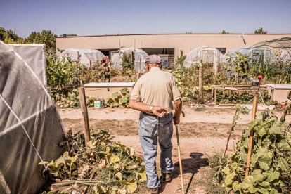 Vergeles en plena ciudad que llenan de alimentos sanos los platos de los quienes los cultivan