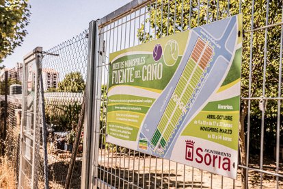 Vergeles en plena ciudad que llenan de alimentos sanos los platos de los quienes los cultivan