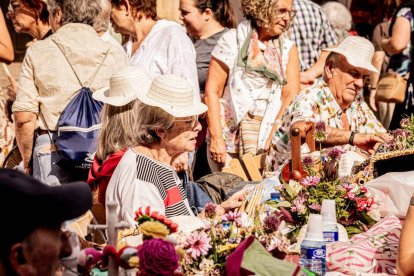 La fiesta del encaje textil reúne a cientos de artistas